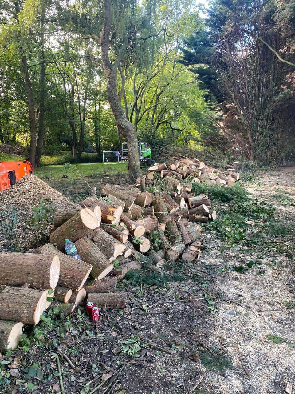 This is a photo of a wood area which is having multiple trees removed. The trees have been cut up into logs and are stacked in a row. Bingham Tree Surgeons
