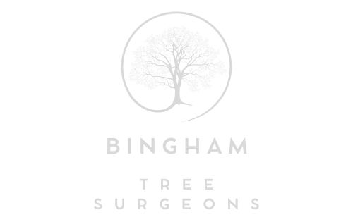 Bingham Tree Surgeons